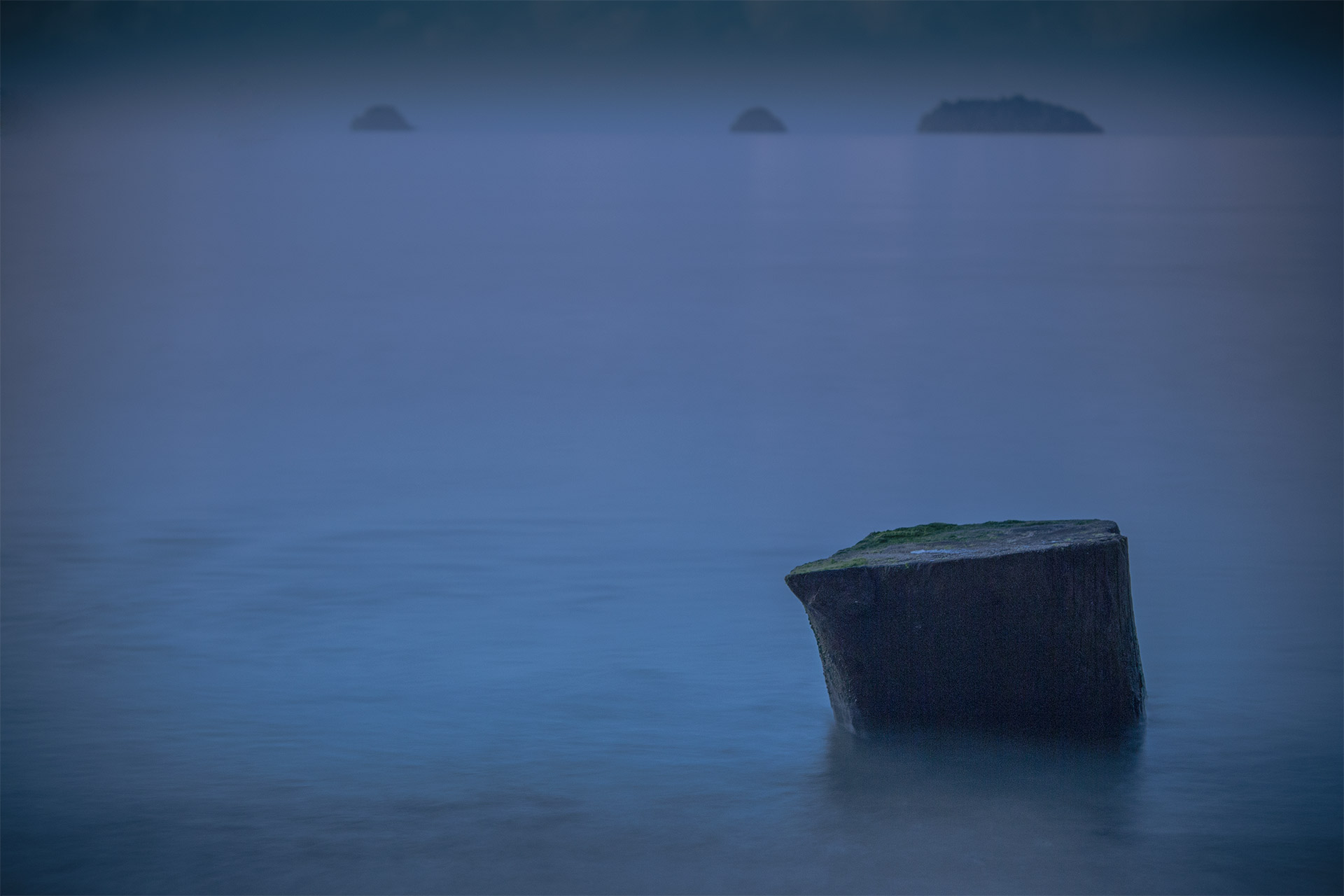 Baumstumpf fotografiert in der blauen Stund in Thailand