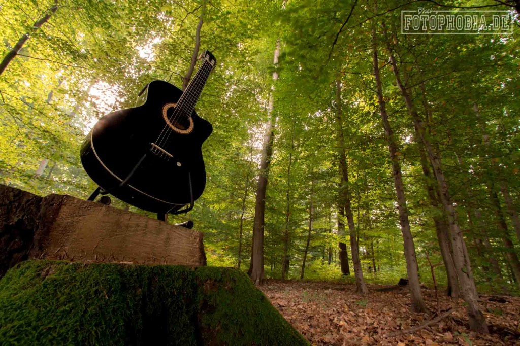 Fotografie von einer Gitarre im Wald. Thema Waldgeräusche